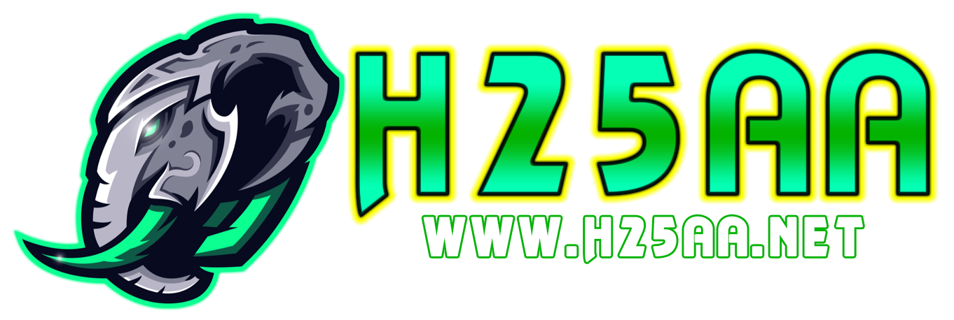 h25aa