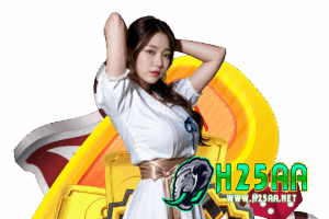 h25 service