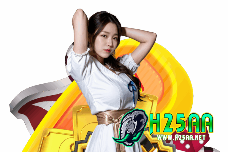 h25 service